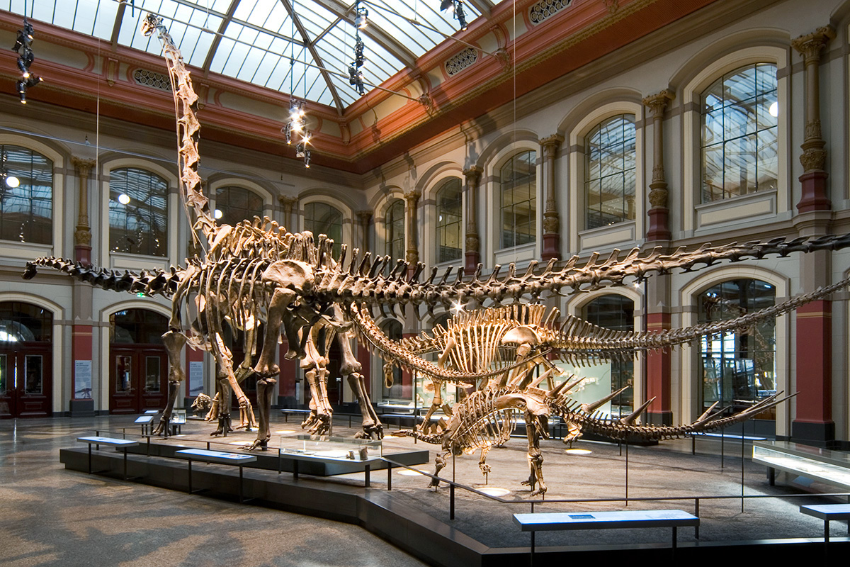 Berlin Museum of Natural History